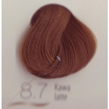 PROFIS FARBA DO WŁOSÓW LASTRADA KOLOR 8.7 KAWA LATTE 100ML   